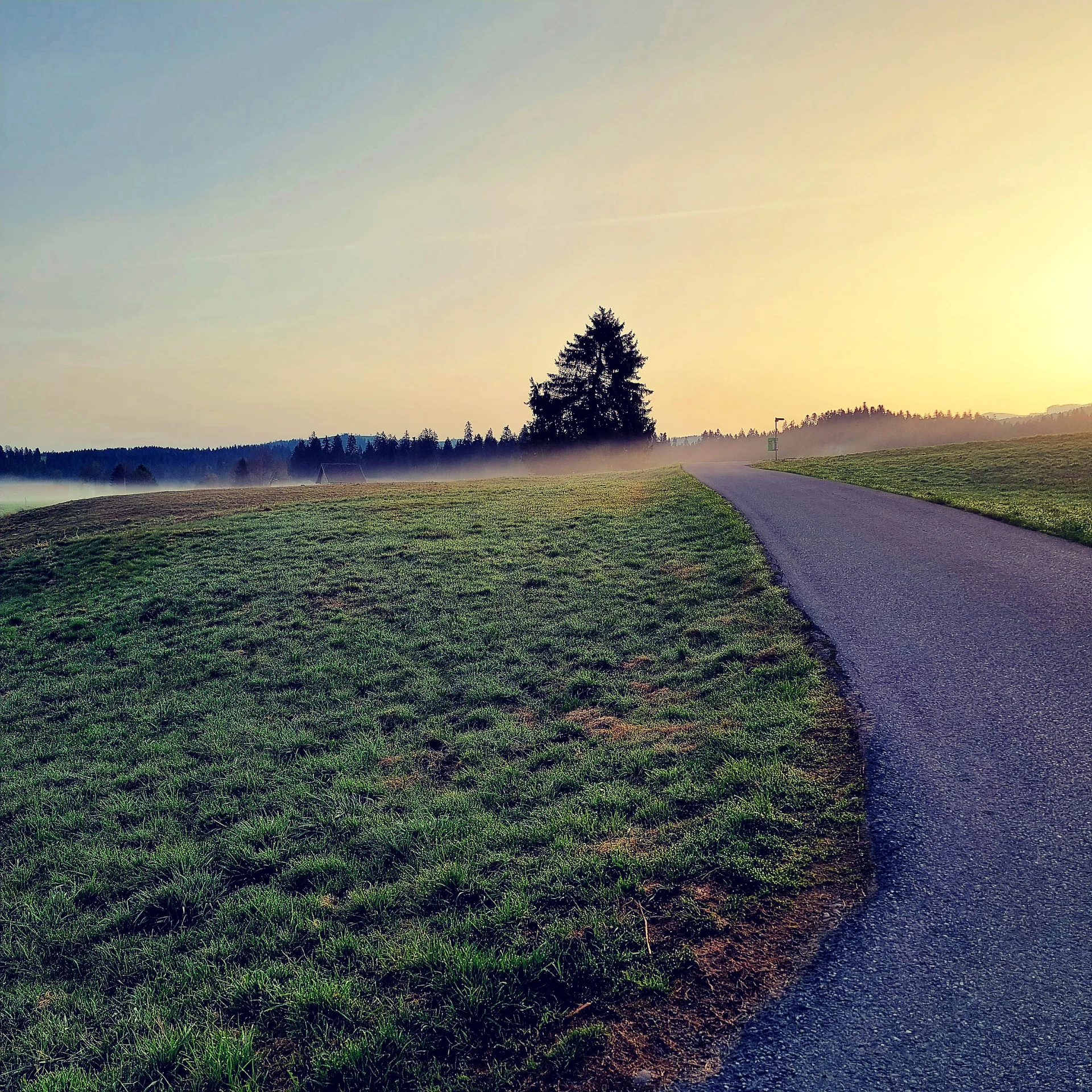 Ein Weg durch Wiesen im warmen Morgenlicht